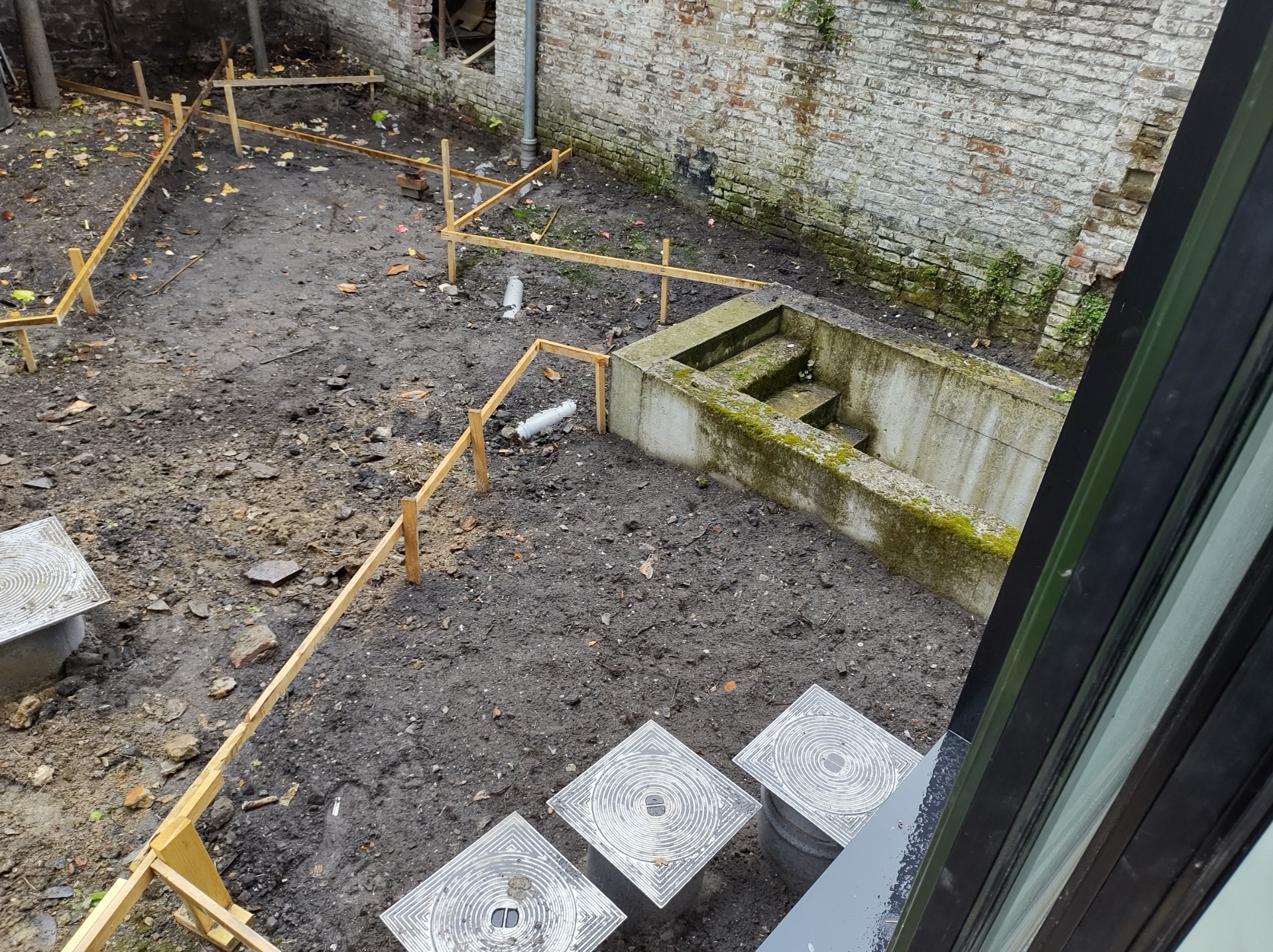 groen, advies, beplanting, beplantingsplan, grassen, heuchera,